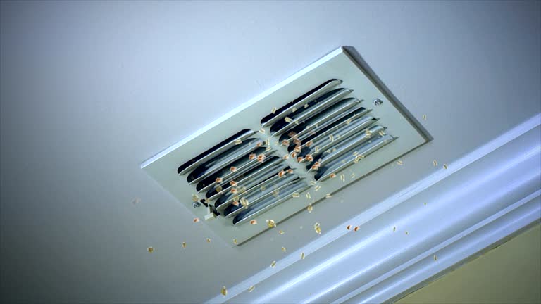 Best Affordable HVAC Duct Cleaning  in San Diego Country Estates, CA