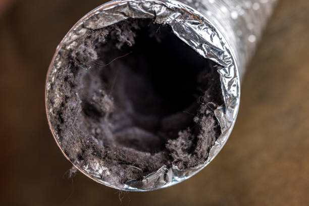 Best Best Air Duct Cleaning Near Me  in San Diego Country Estates, CA