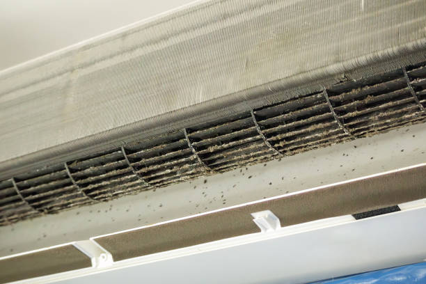 Best Emergency Air Duct Cleaning  in San Diego Country Estates, CA